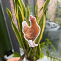Chicken (Hen) - Vinyl Sticker