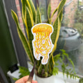 Pacific Sea Nettle Jellyfish - Vinyl Sticker