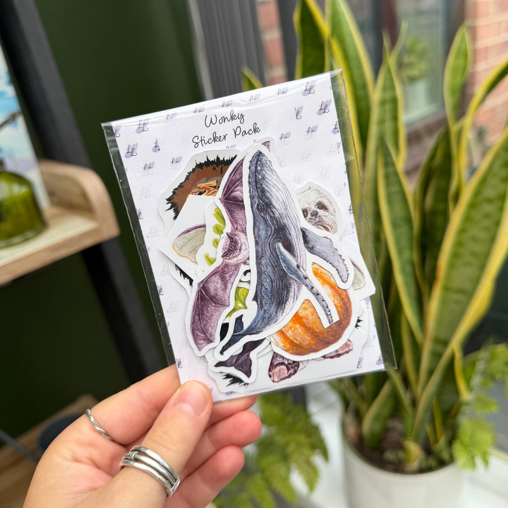 Wonky Sticker Pack