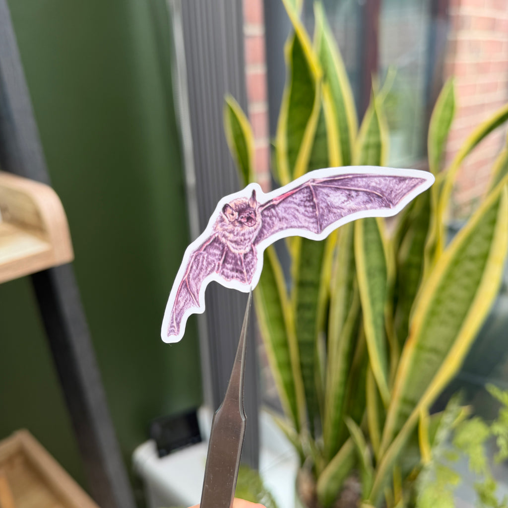 Bewitching Bats Sticker Pack