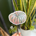 Porcelain Doll Pumpkin - Vinyl Sticker