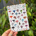 Mushroom Sticker Sheet