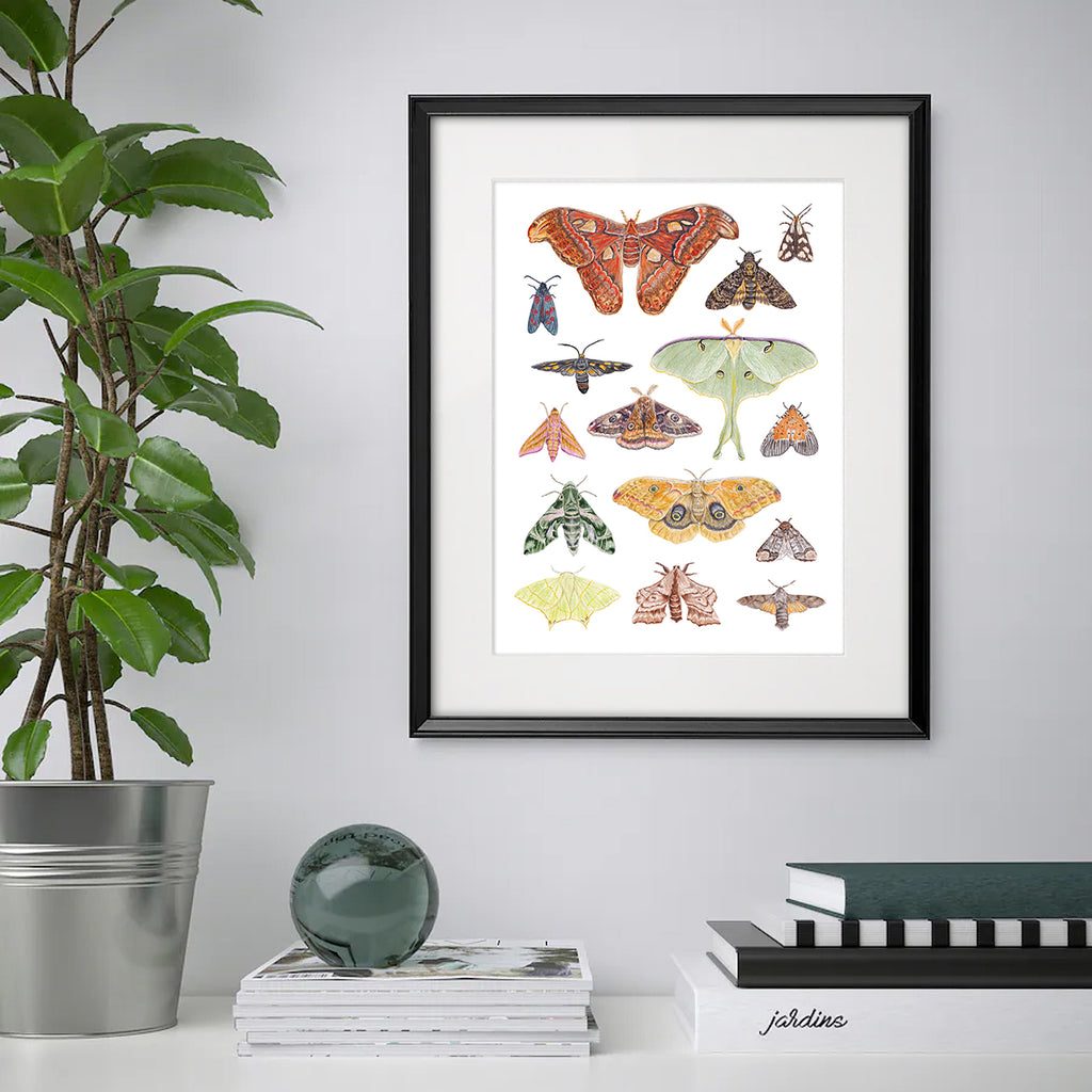 Moth A3 Print