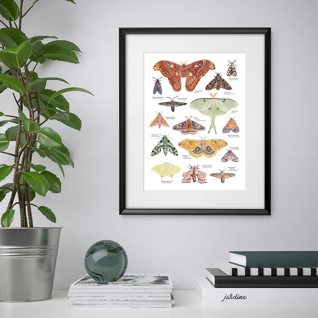 Moth A3 Print