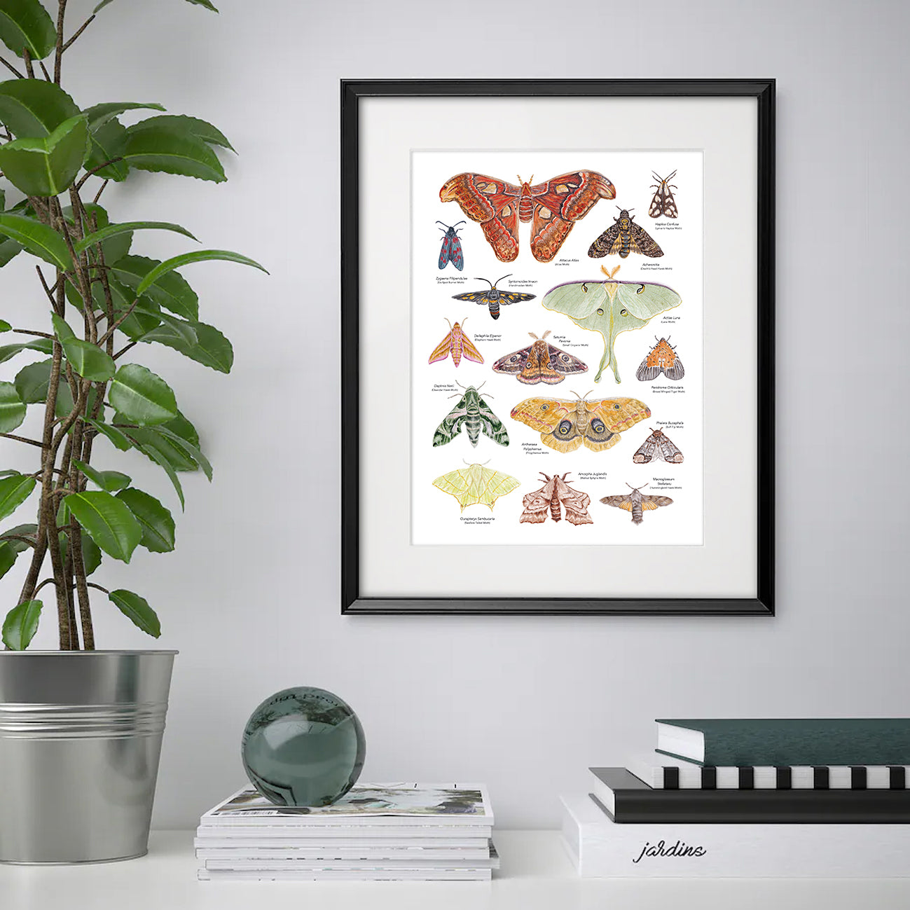 Moth A3 Print