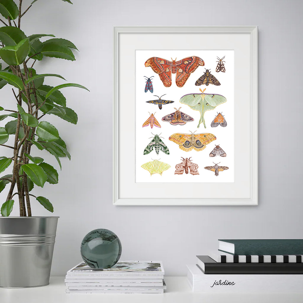 Moth A3 Print