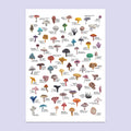 Mushroom A3 Print