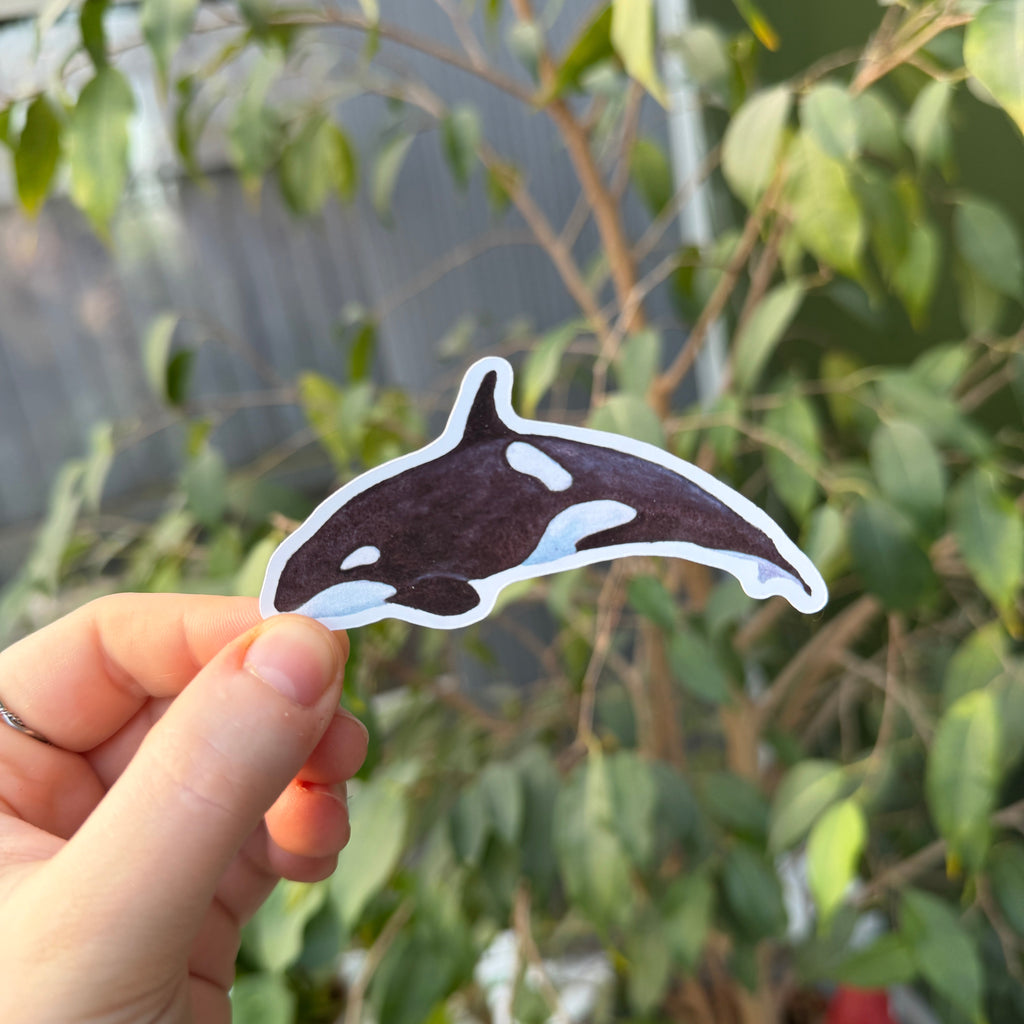 Hand holding a Orca sticker with a blurred green leafy background