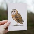 Owl Always Love You Greetings Card