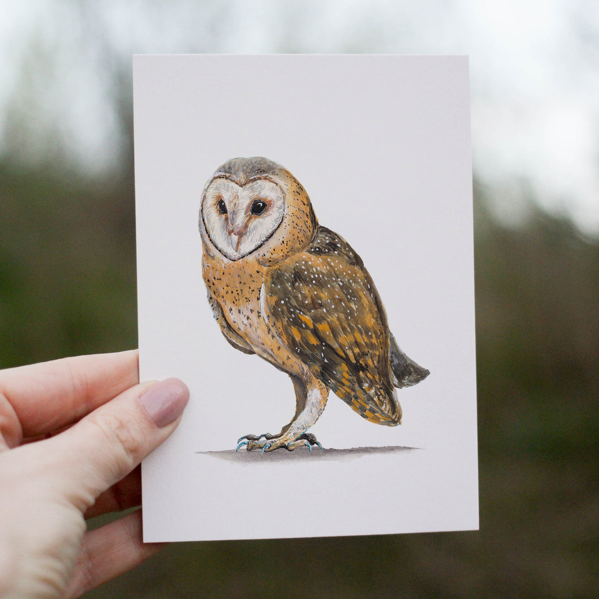 Owl Always Love You Greetings Card