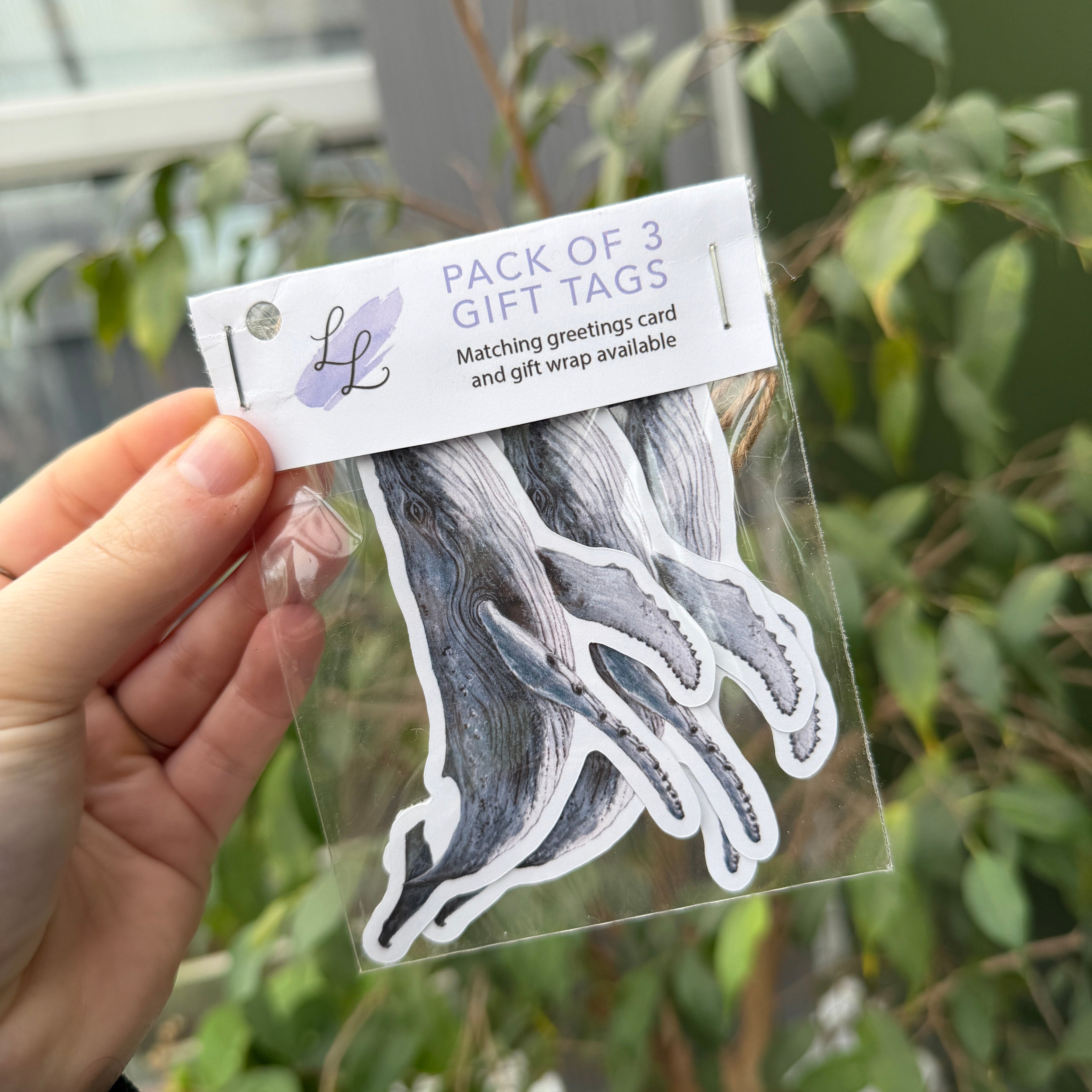 Hand holding a set of 3 whale gift tags