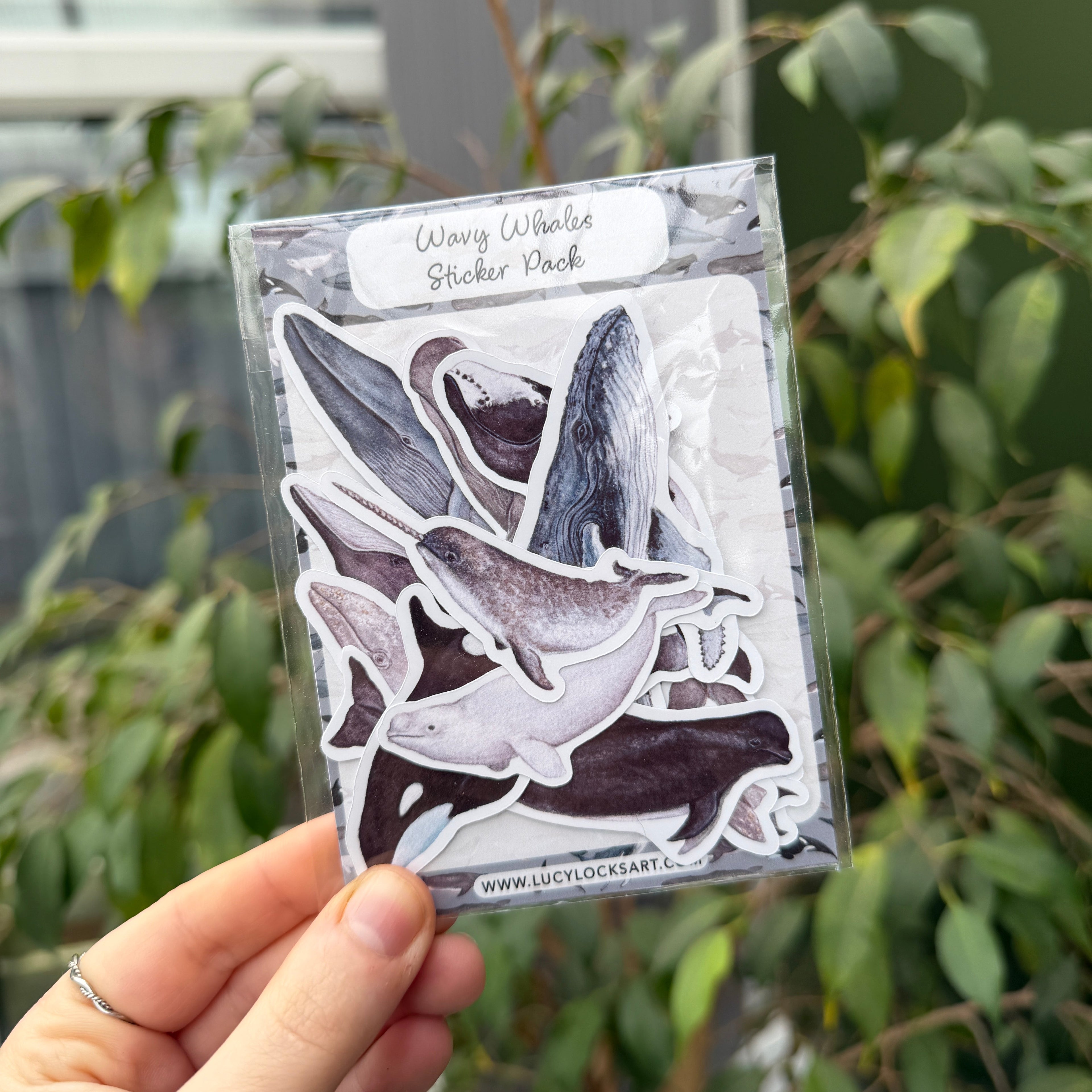 Hand holding a whale sticker pack - glossy stickers
