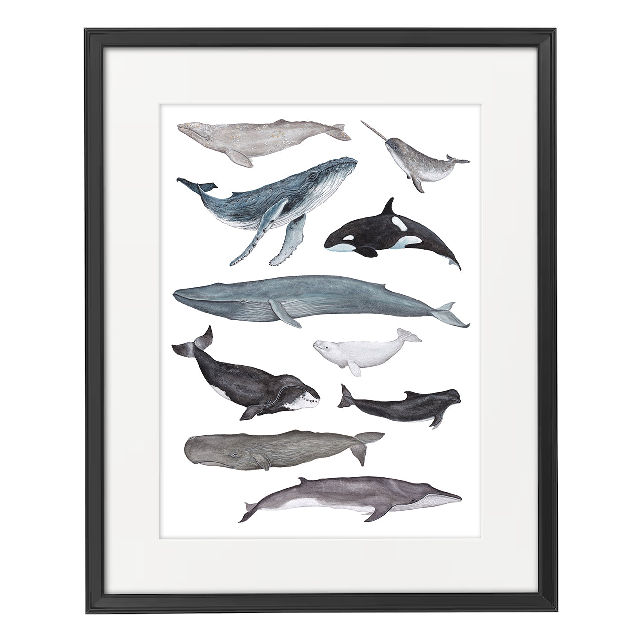 Whale A3 Print