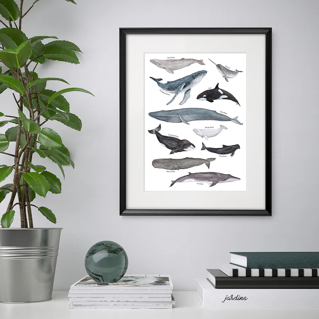 Whale A3 Print