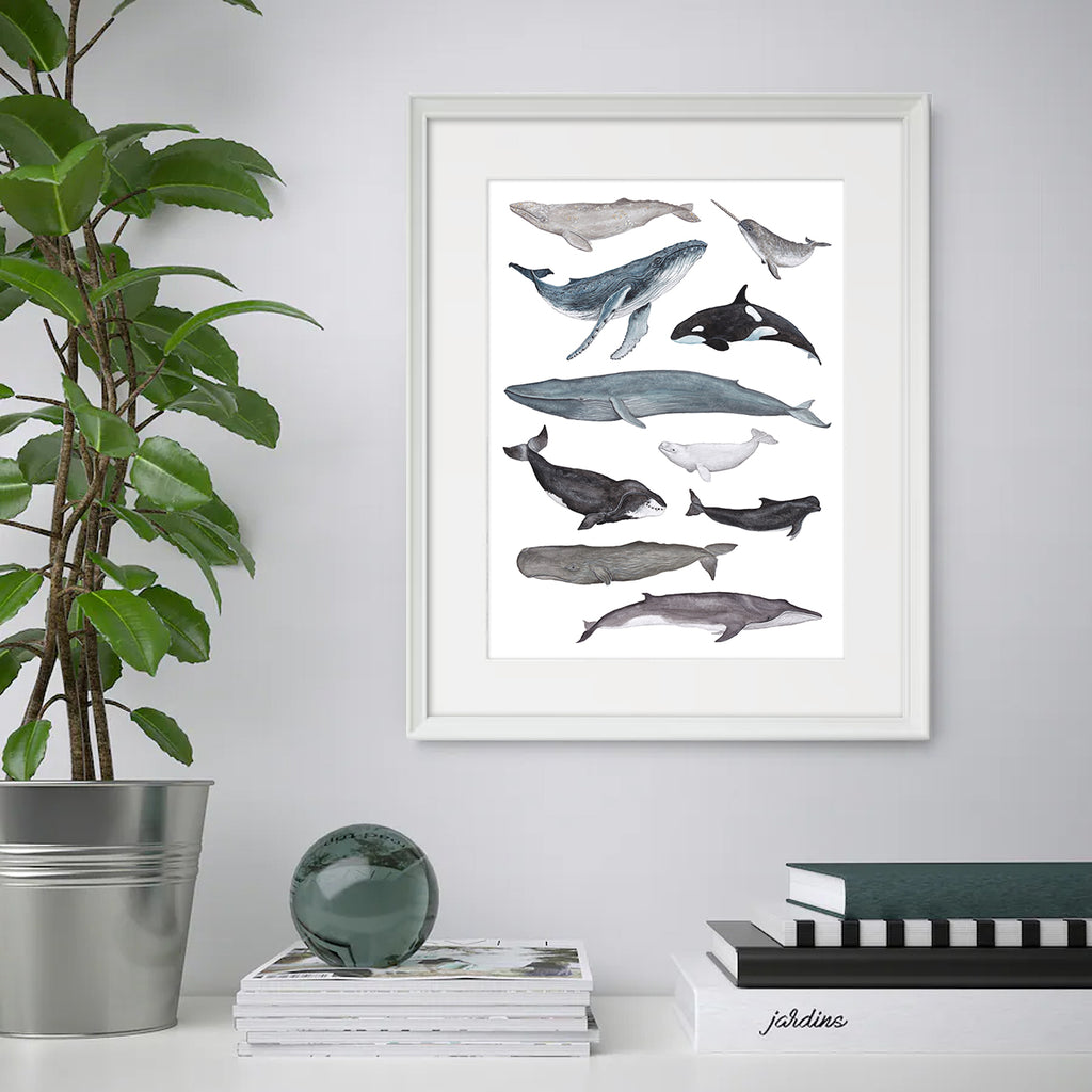 Whale A3 Print