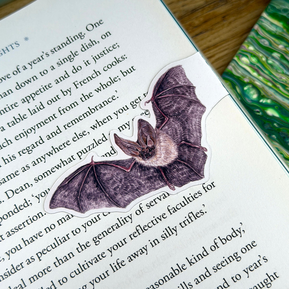Whiskered Bat Magnetic Bookmark