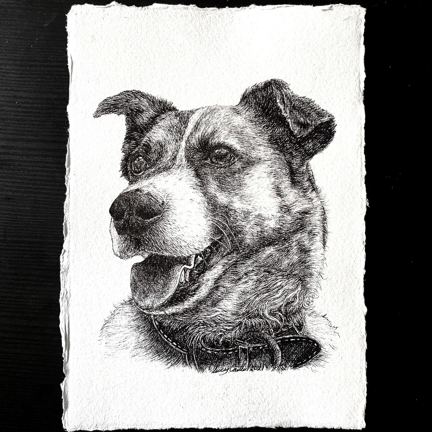 A5 Pet Portrait Commission image 1