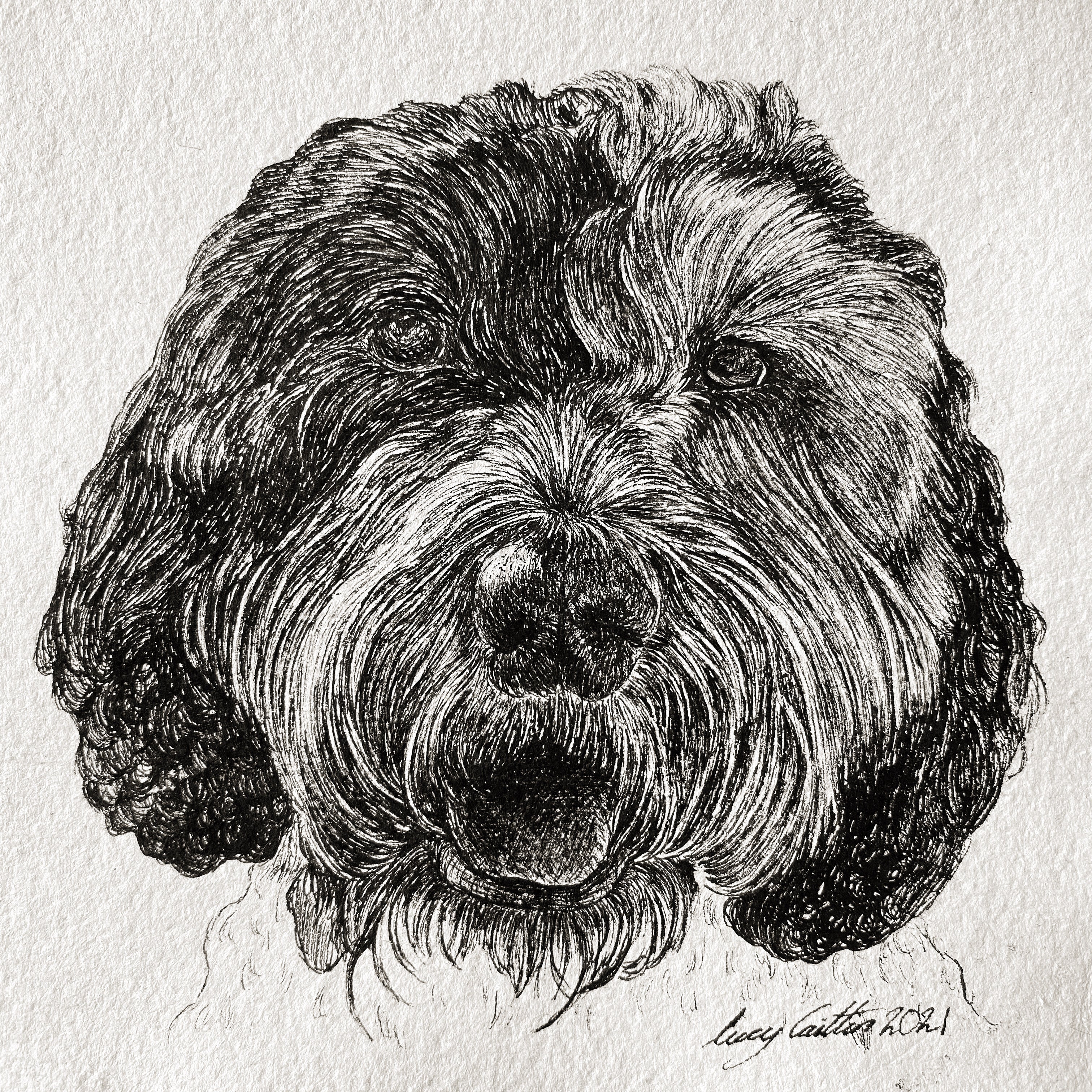 15cm Square Pet Portrait Commission image 5
