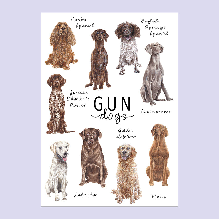 Gun Dogs A5 Print image 0