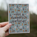 Have a Purrrfect Birthday Greetings Card image 0