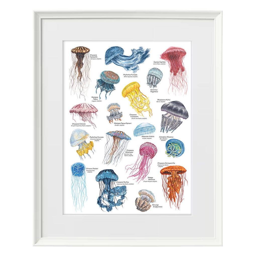 Jellyfish A3 Print image 8