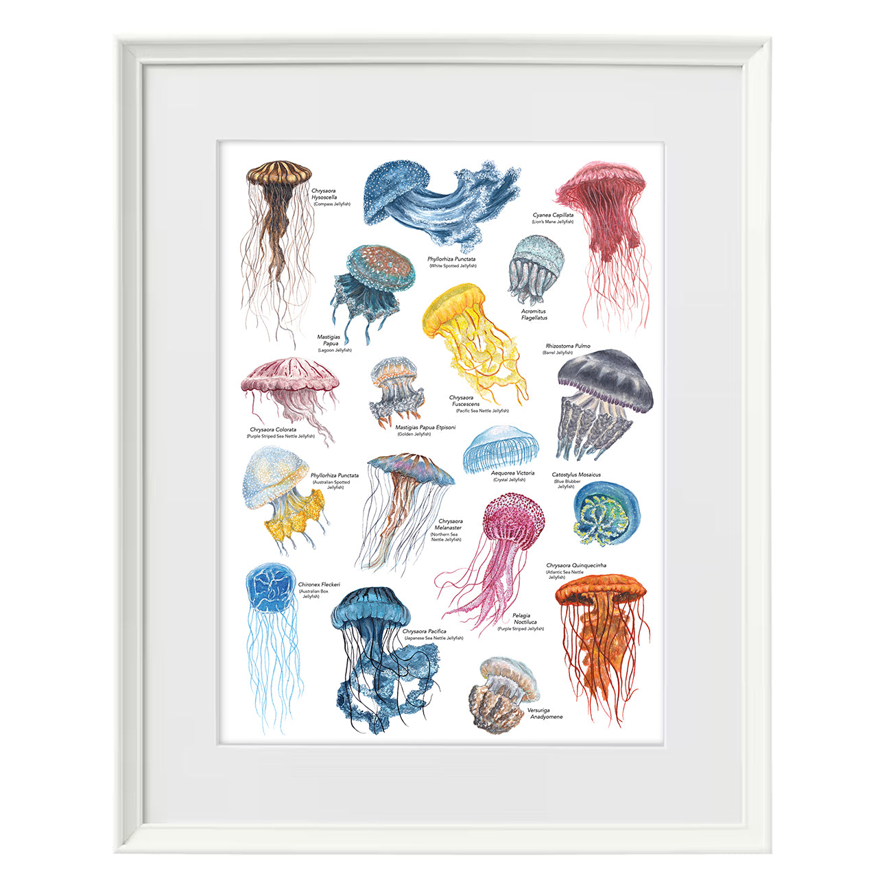Jellyfish A3 Print image 8
