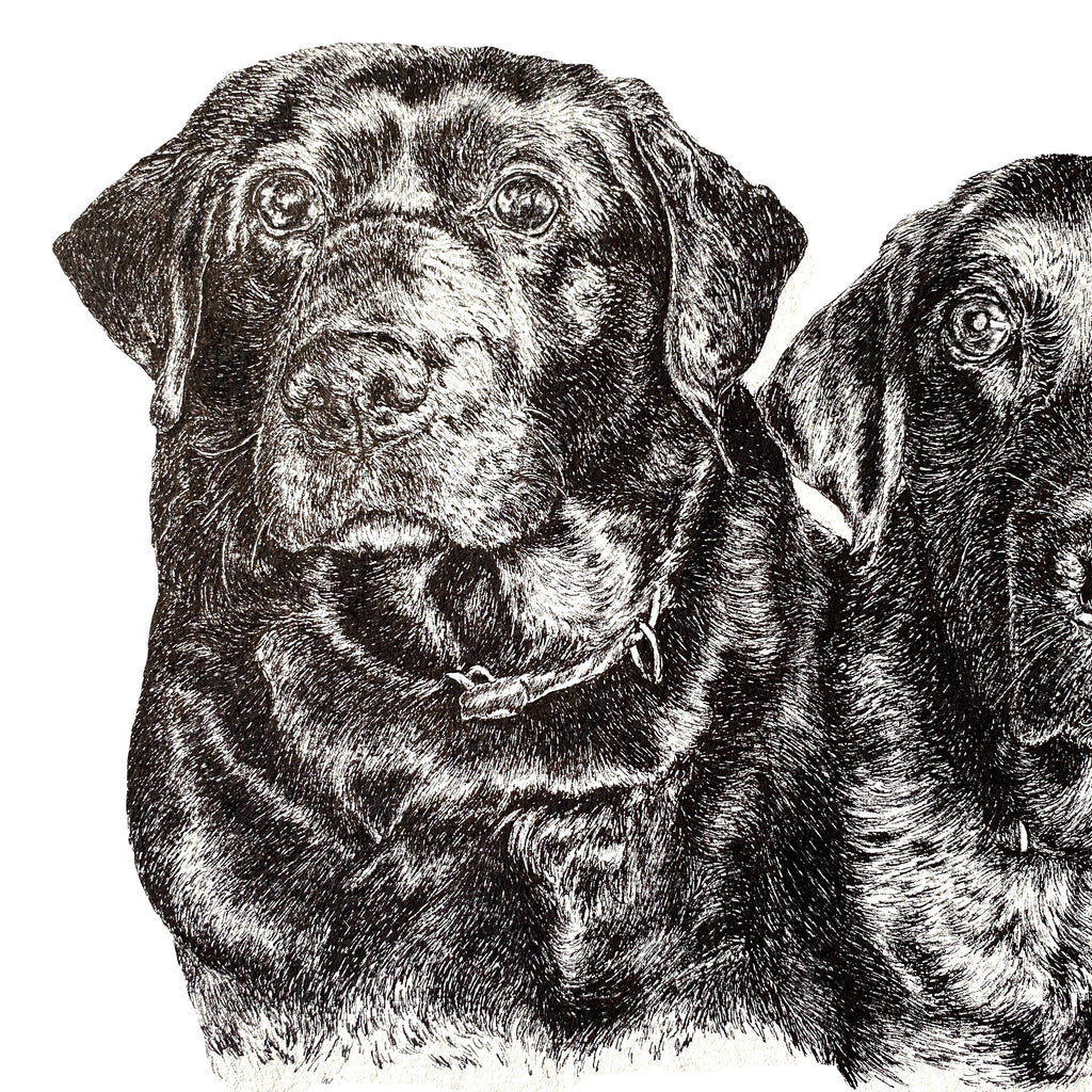 A4  Pet Portrait Commission image 2