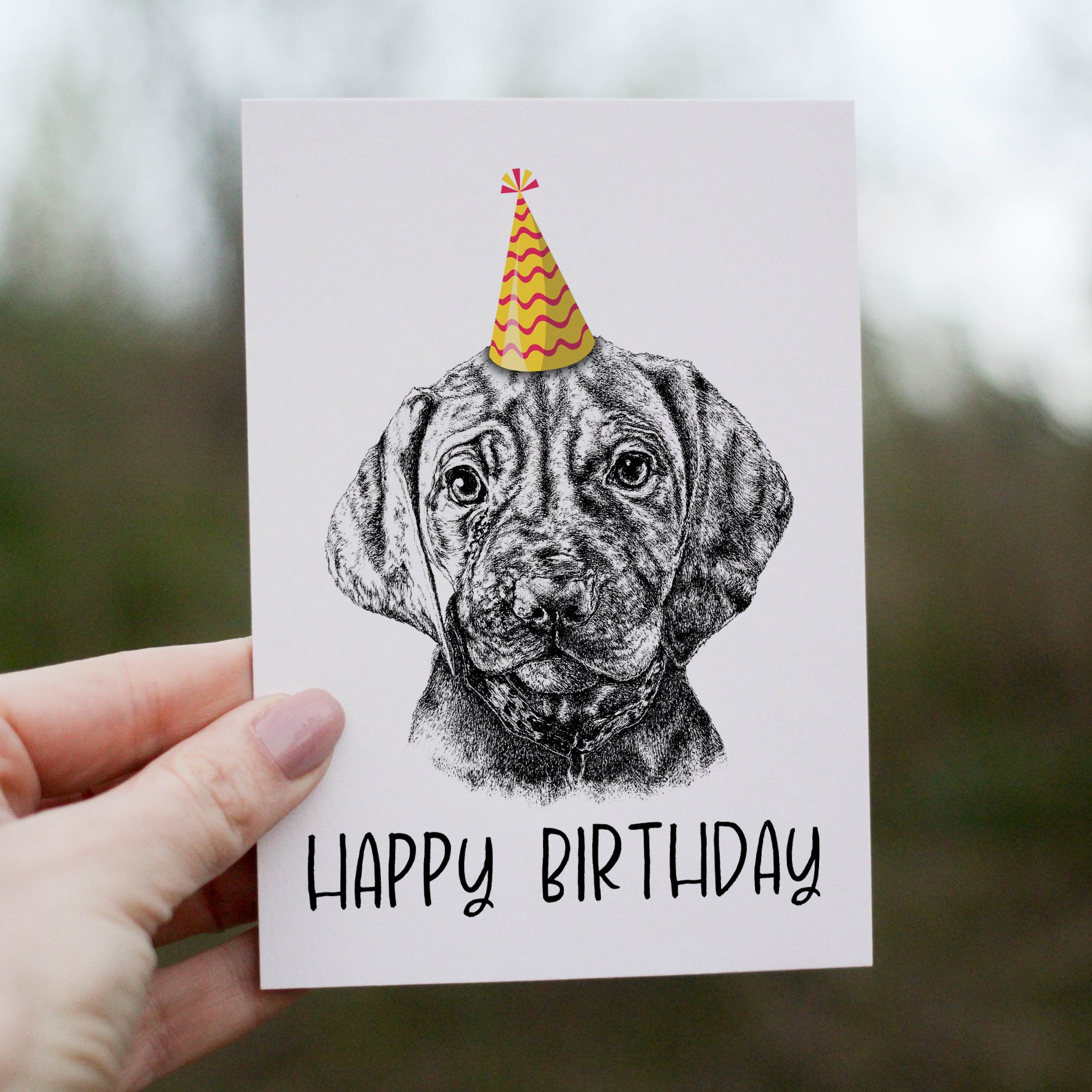 Vizsla (#2) Greetings Card image 0