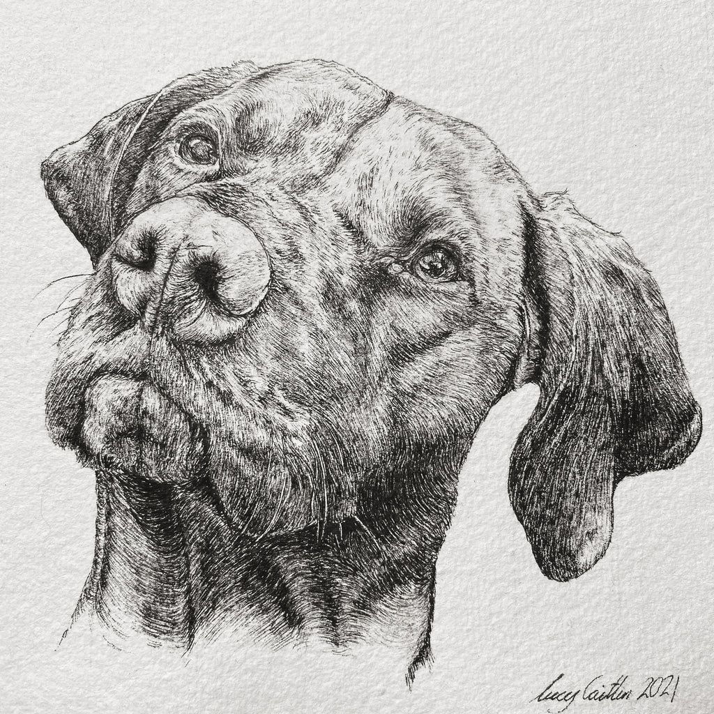 15cm Square Pet Portrait Commission image 1