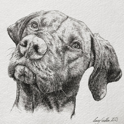 15cm Square Pet Portrait Commission image 1