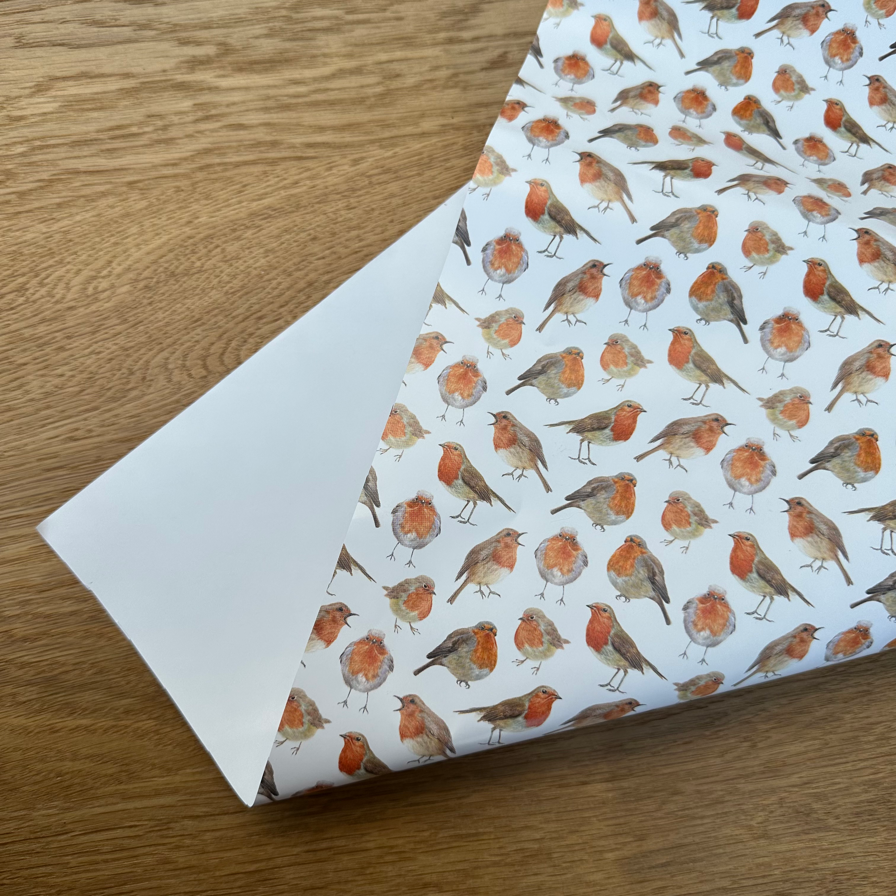 Christmas Robin Gift Wrap and Tag image 1