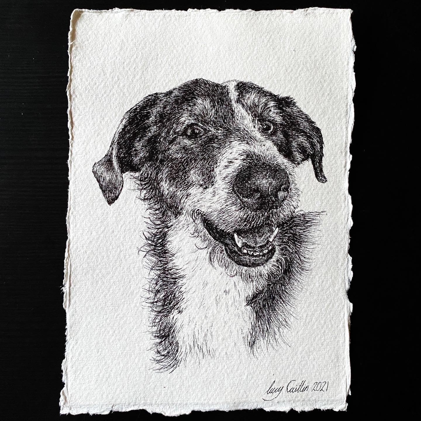 A5 Pet Portrait Commission image 0