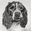 15cm Square Pet Portrait Commission image 0
