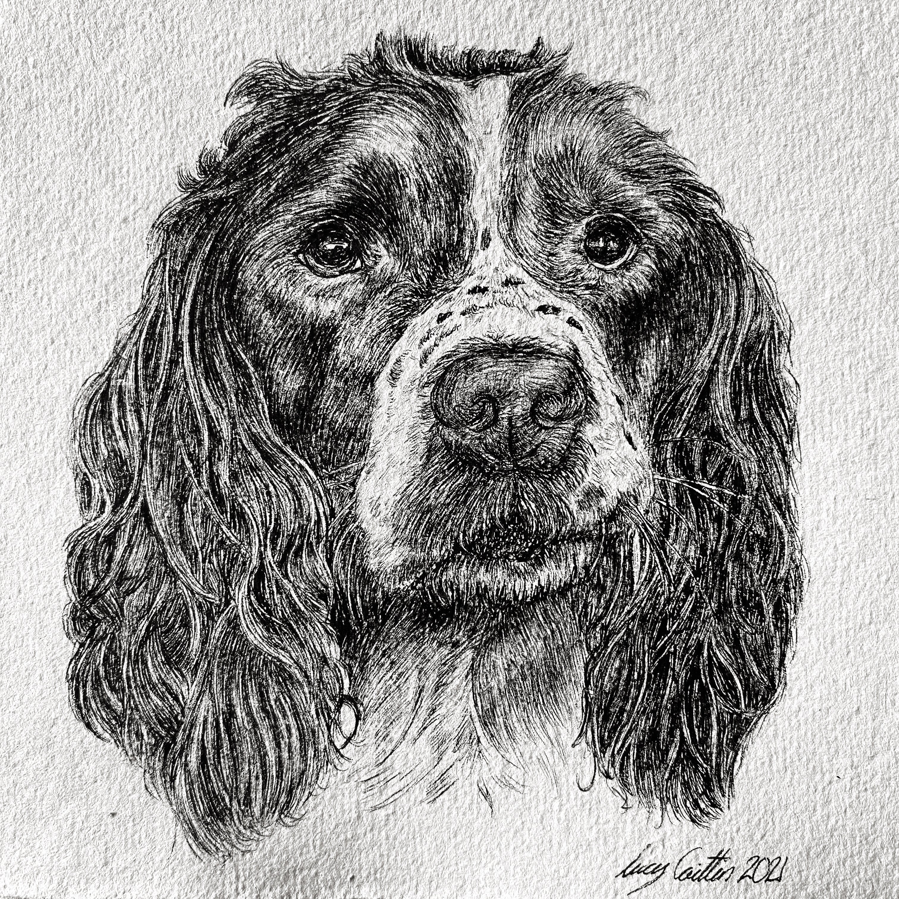 15cm Square Pet Portrait Commission image 0