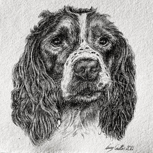 15cm Square Pet Portrait Commission image 0