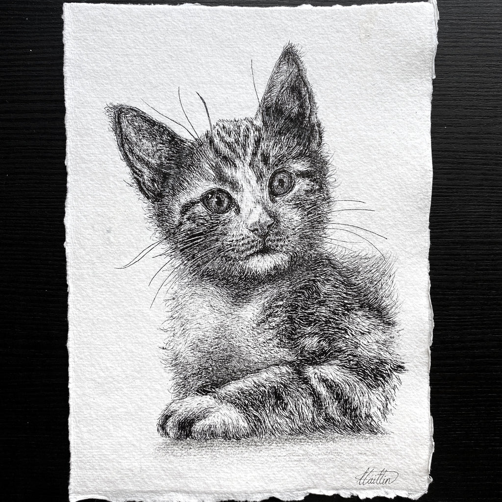 A5 Pet Portrait Commission image 5