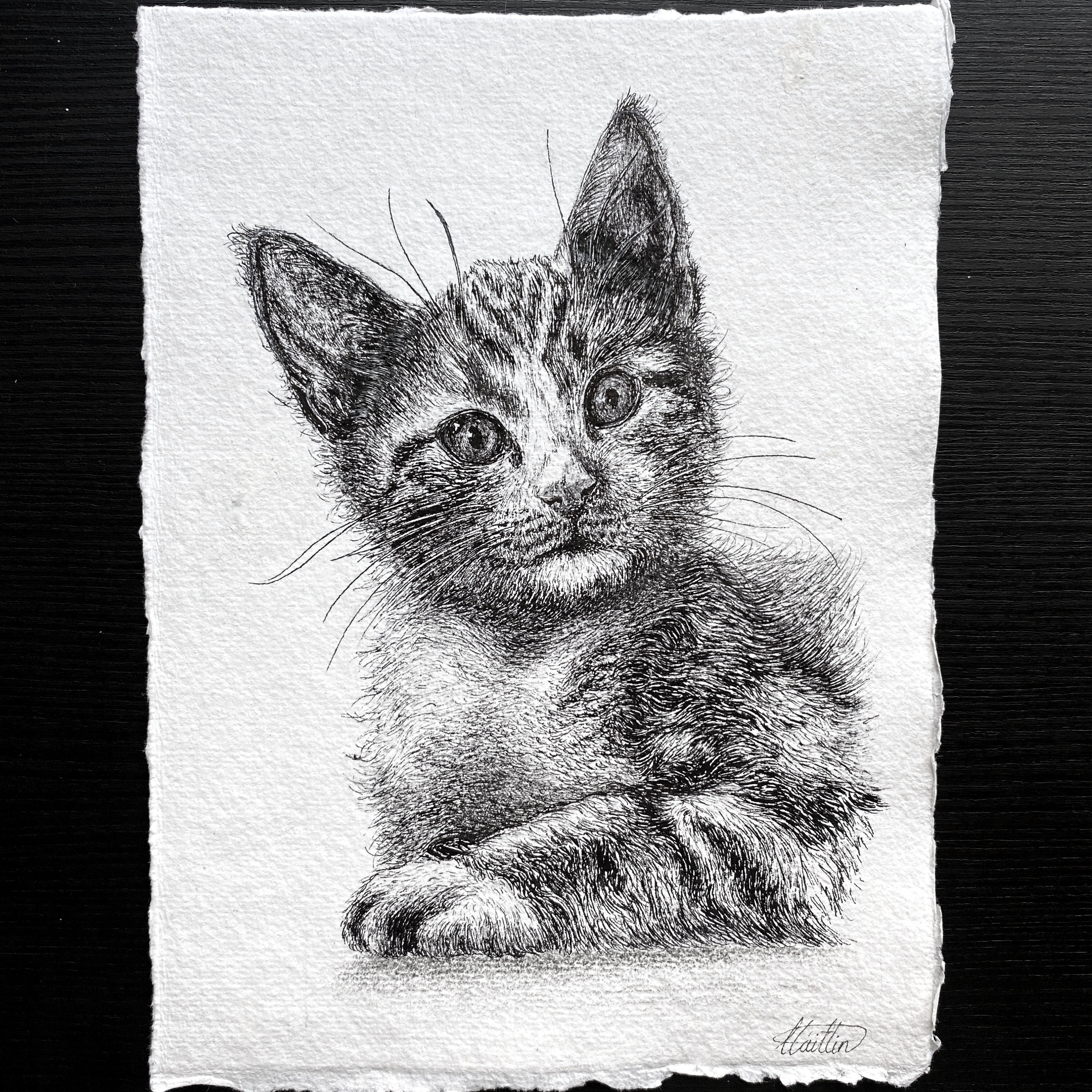 A5 Pet Portrait Commission image 5