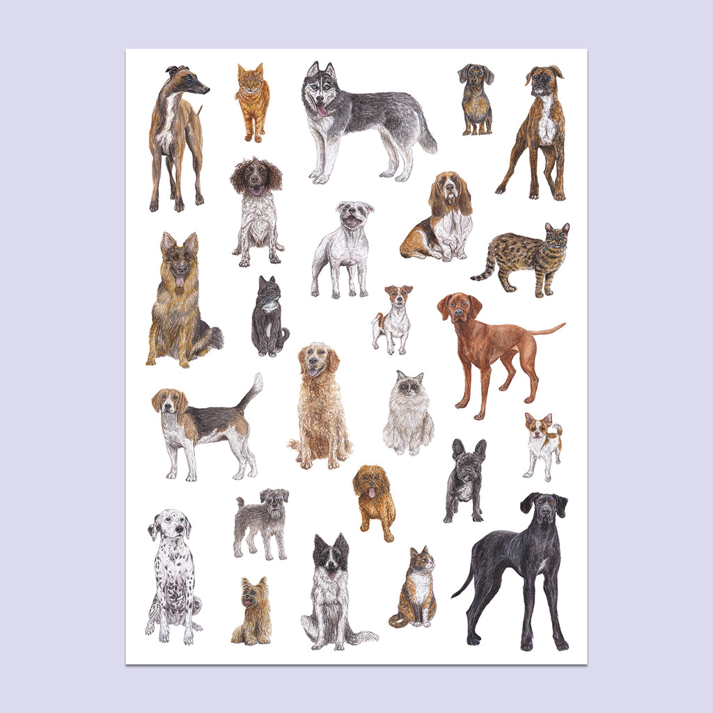 Cats and Dogs A3 Print image 0
