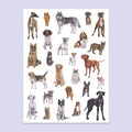 Cats and Dogs A3 Print image 0