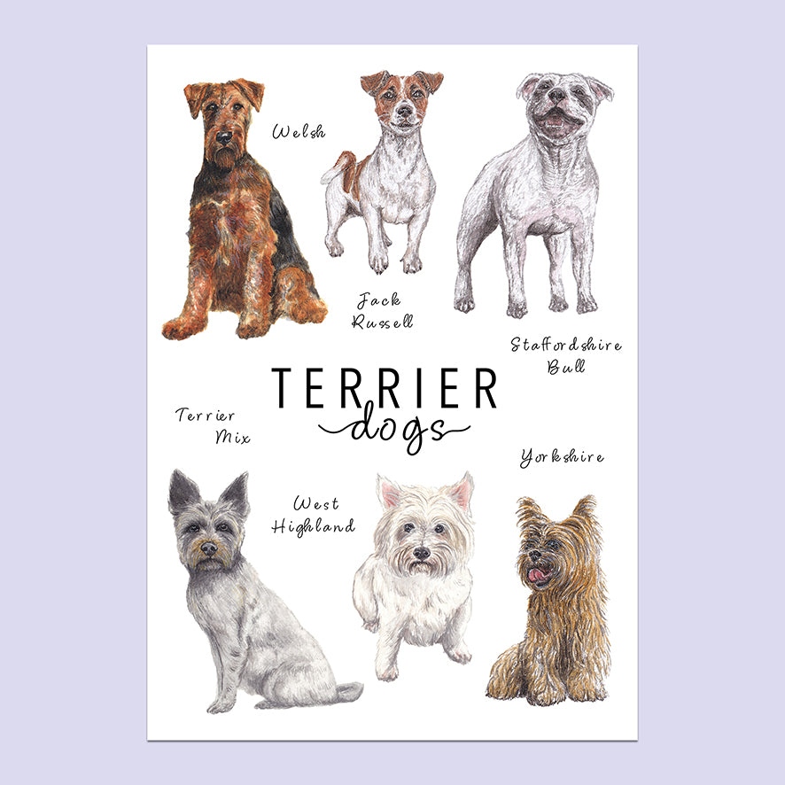 Terrier Dogs A5 Print image 0