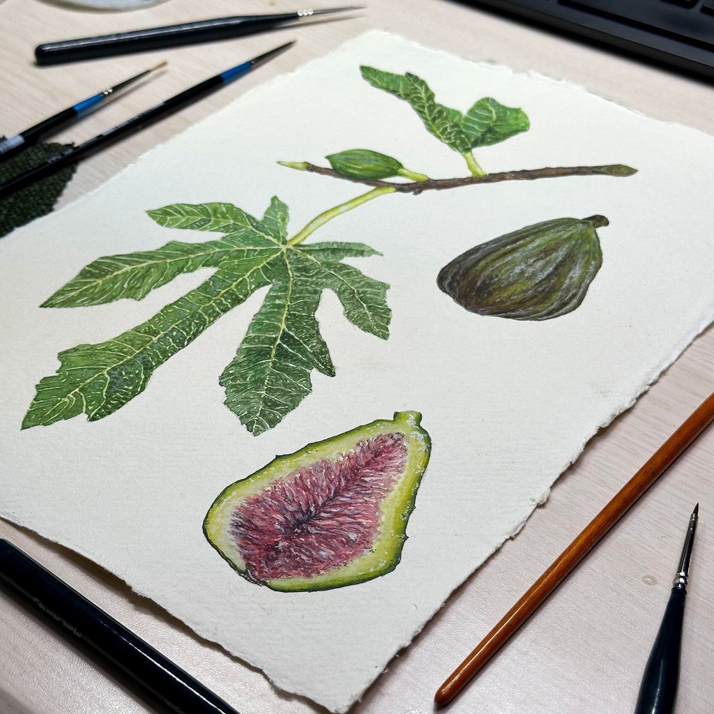 Botanical Painting Commission image 3