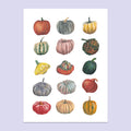 Mini Pumpkin A4 Print image 0