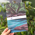Jungle Cove A5 Notebook image 0