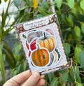 Plump Pumpkins Sticker Pack image 0