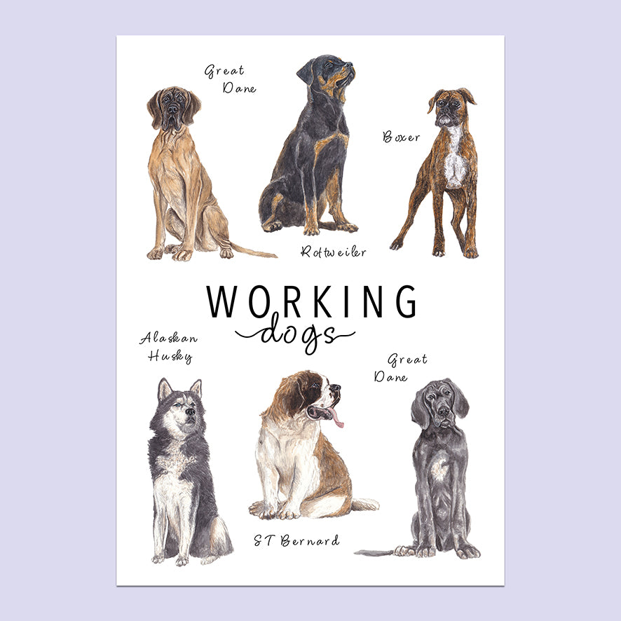 Working Dogs A5 Print image 0