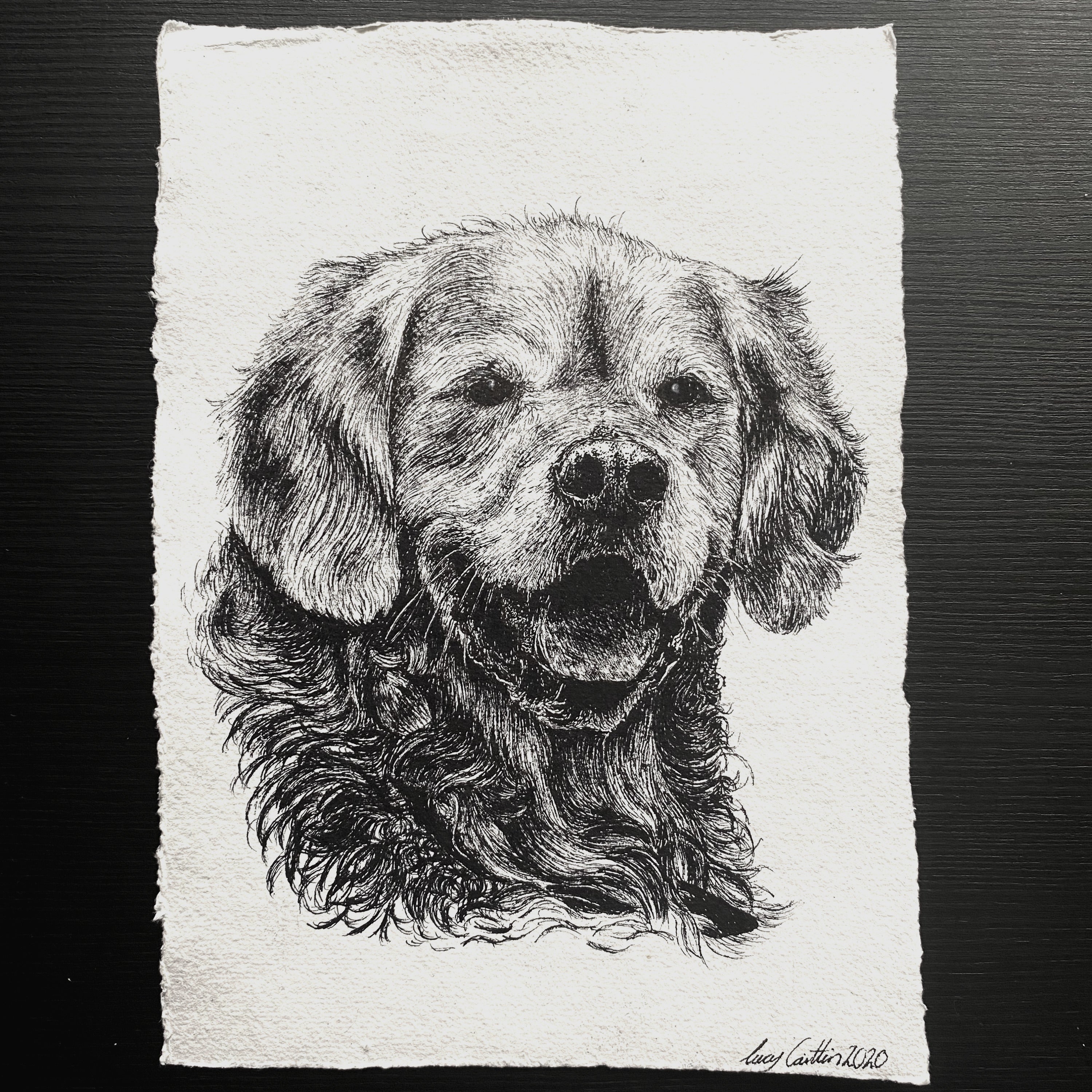 A5 Pet Portrait Commission image 2