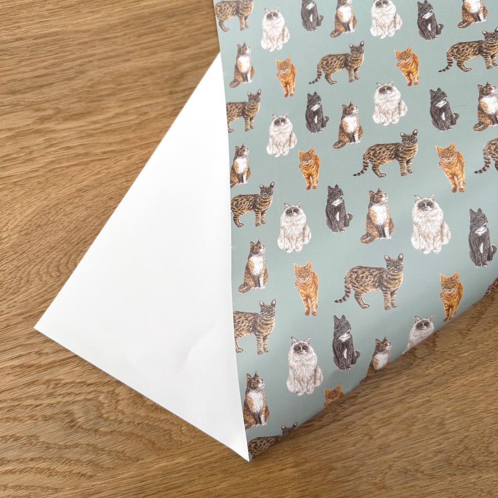 Cats Gift Wrap and Tag image 1